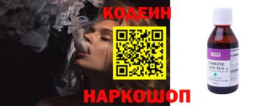 индика Гатчина