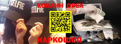 индика Гатчина