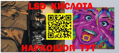 стафф Гай