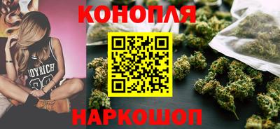 стафф Гай