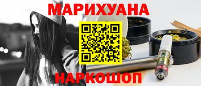 индика Гатчина