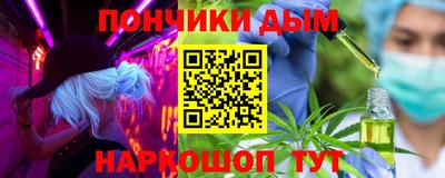 стафф Гай